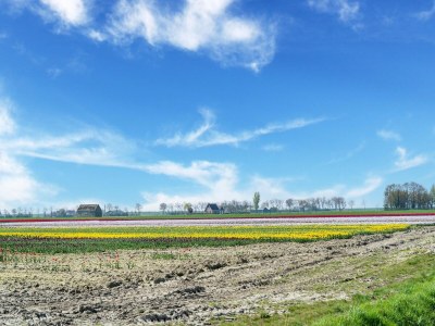 Holiday house Wunderschönes Ferienhaus mit großem Garten - Environment photo 39