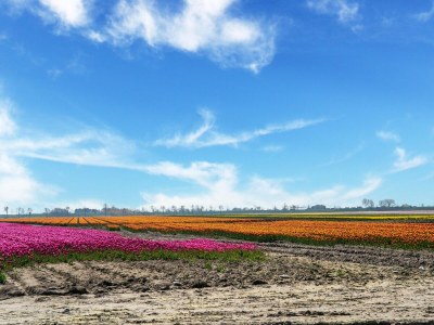 Holiday house Wunderschönes Ferienhaus mit großem Garten - Environment photo 43