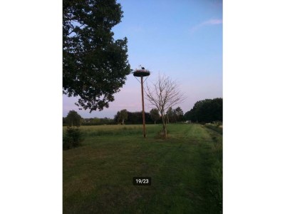 Villa Wooden house Albert - Outdoor photo 11