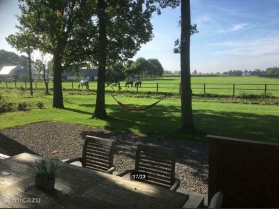 Villa Wooden house Albert - Environment photo 16