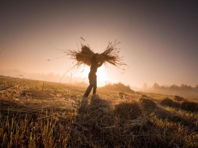 Holiday house Canal-Side Stay, Giethoorn - Environment photo 29