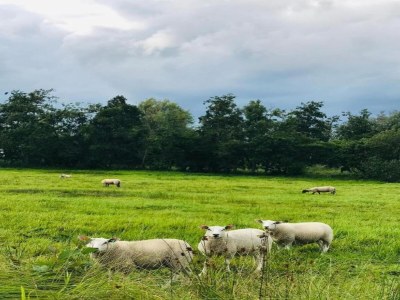 Holiday house Canal-Side Stay, Giethoorn - Environment photo 33