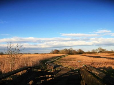Holiday house Canal-Side Stay, Giethoorn - Environment photo 35