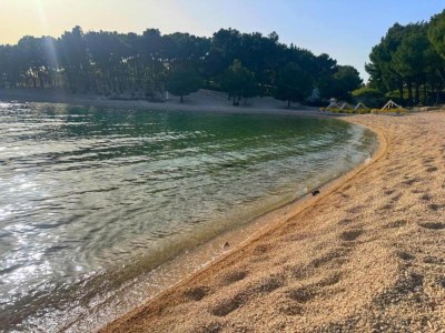 caravan Mobile home in Drage with garden - Environment photo 23