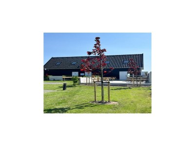 Holiday house Romantisches Studio in Stellendam mit Terrasse - Outdoor photo 5