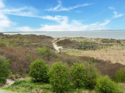 Holiday house Romantisches Studio in Stellendam mit Terrasse - Environment photo 23