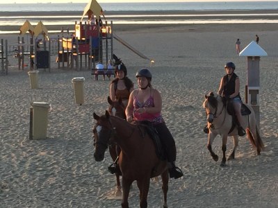 Holiday house Romantisches Studio in Stellendam mit Terrasse - Environment photo 26