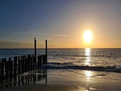 Holiday house Holiday Home in Zeeland near the Beach - Environment photo 28