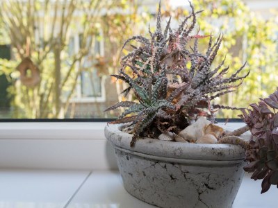 Holiday house Holiday Home in Zeeland near the Beach - Outdoor photo 37