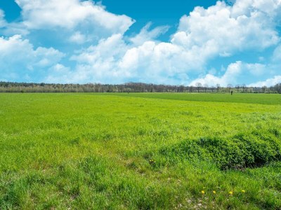 Holiday house Ländliches Haus im Park bei Molenschot - Environment photo 39