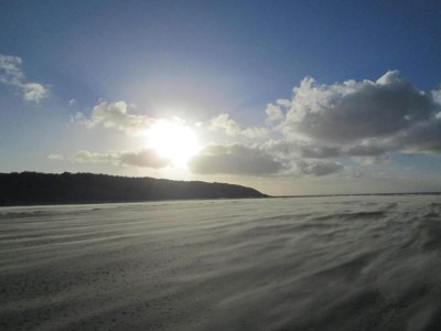 Holiday park Ameland Coastal Retreat - Environment photo 12