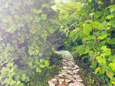 Holiday house 6 Personen Ferienhaus in Knebel-By Traum - Outdoor photo 5