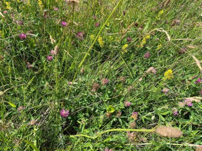 Holiday house 6 Personen Ferienhaus in Knebel-By Traum - Outdoor photo 20