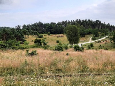 Holiday house 6 Personen Ferienhaus in Knebel-By Traum - Outdoor photo 27
