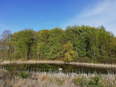 Holiday house 6 Personen Ferienhaus in Knebel-By Traum - Outdoor photo 28