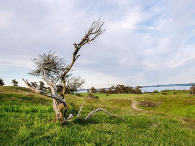 Holiday house 6 Personen Ferienhaus in Knebel-By Traum - Outdoor photo 31