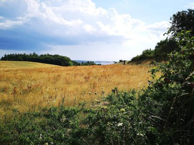 Holiday house 6 Personen Ferienhaus in Knebel-By Traum - Outdoor photo 32
