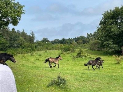 Holiday house 6 Personen Ferienhaus in Knebel-By Traum - Outdoor photo 33