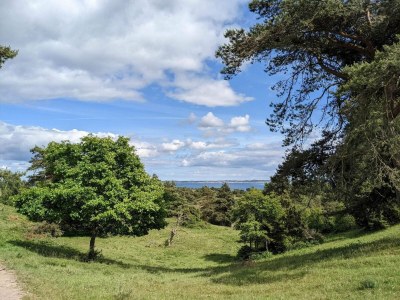 Holiday house 6 Personen Ferienhaus in Knebel-By Traum - Outdoor photo 34