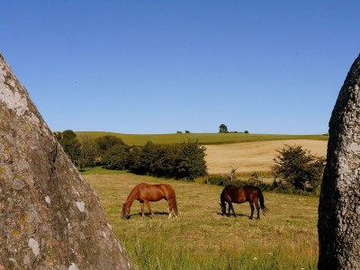 Holiday house 6 Personen Ferienhaus in Knebel-By Traum - Outdoor photo 35