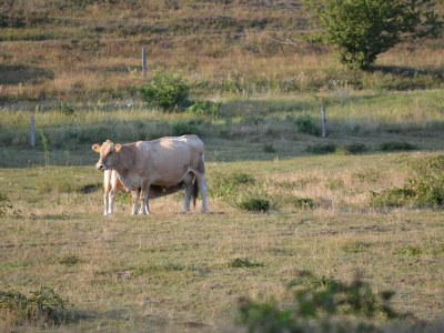 Holiday house 6 Personen Ferienhaus in Knebel-By Traum - Outdoor photo 43