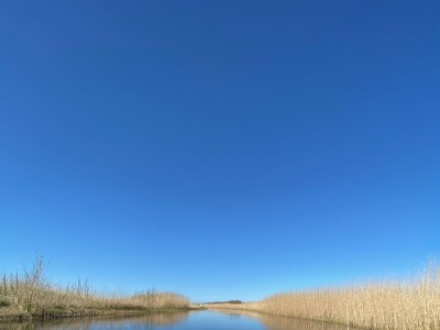 Villa LouLou Beachhouse - Environment photo 25