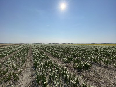 Villa LouLou Beachhouse - Environment photo 27