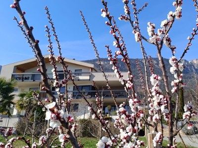 Holiday apartment Apartment Time - Outdoor photo 5