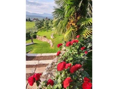 Holiday apartment Apartment Time - Outdoor photo 7