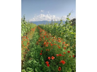 Holiday apartment Apartment Time - Outdoor photo 12