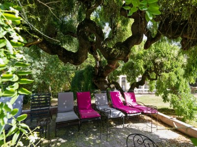 Castle Superb château near the Canal du Midi - Outdoor photo 5