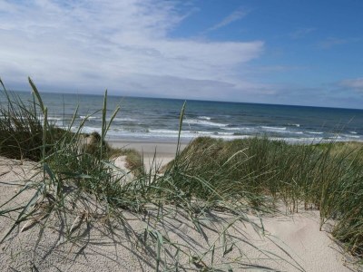 Apartment 6 person holiday home in Ringkøbing-By Traum - Outdoor photo 37