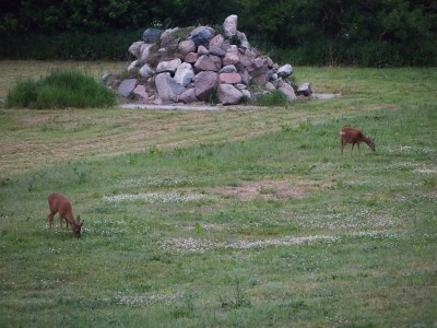 Holiday apartment B Parterre - Features photo 23