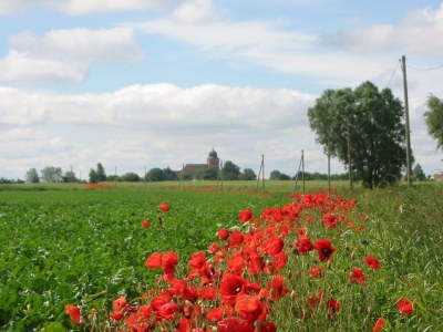 Holiday apartment B Parterre - Environment photo 24