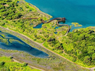 Holiday house Ruhiger Aufenthalt an der Küste, Rosolina - Environment photo 25