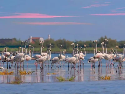 Holiday house Ruhiger Aufenthalt an der Küste, Rosolina - Environment photo 32