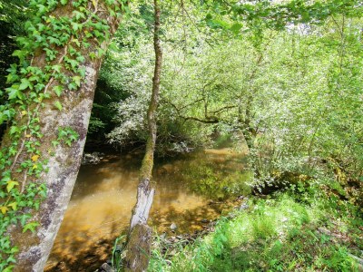 Holiday house Schönes Ferienhaus mit Schwimmbad - Environment photo 33