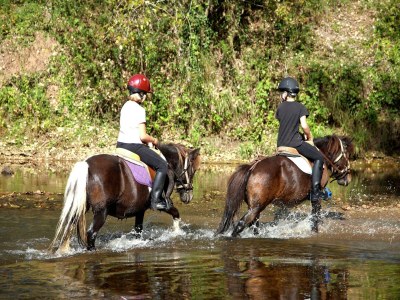 Holiday house Schönes Ferienhaus mit Schwimmbad - Environment photo 35