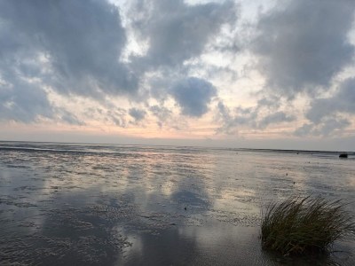 Holiday house 4 person holiday home in Fanø - Outdoor photo 22