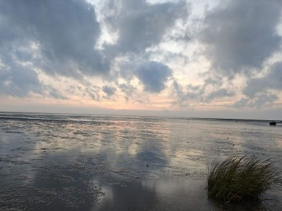 Holiday house 4 person holiday home in Fanø - Outdoor photo 42