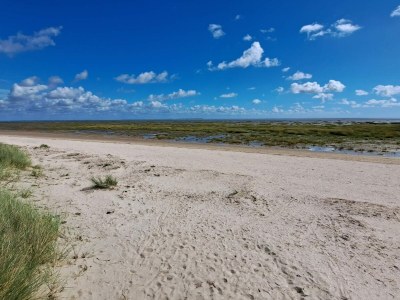 Holiday house 4 person holiday home in Fanø - Outdoor photo 43