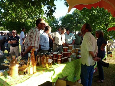 Holiday house Charmantes Chalet mit Schwimmbad - Environment photo 29