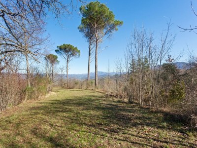 Holiday house Gemütliches Ferienhaus mit Pool - Environment photo 34