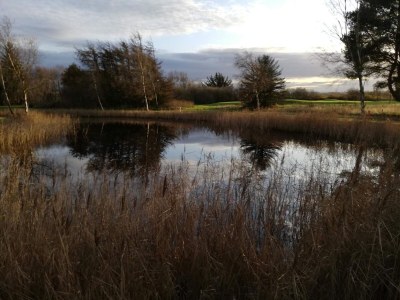 Holiday house 6 person holiday home in Nibe-By Traum - Outdoor photo 24