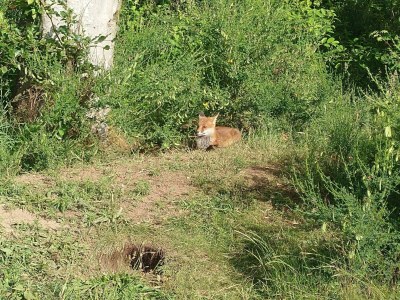 Holiday house 6 person holiday home in Nibe-By Traum - Outdoor photo 38