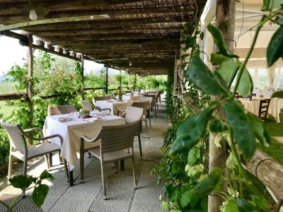 Holiday house Bauernhof mit eigenem Pool zwischen Kultur und Natur, zwischen Pisa und Florenz - Outdoor photo 10