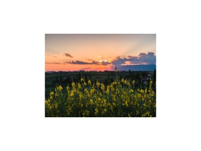 Holiday house Bauernhof mit eigenem Pool zwischen Kultur und Natur, zwischen Pisa und Florenz - Outdoor photo 13