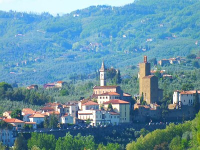 Holiday house Bauernhof mit eigenem Pool zwischen Kultur und Natur, zwischen Pisa und Florenz - Environment photo 31