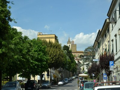Holiday house Bauernhof mit eigenem Pool zwischen Kultur und Natur, zwischen Pisa und Florenz - Environment photo 32
