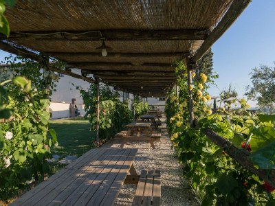 Holiday house Belvilla by OYO Leonardo - Outdoor photo 10